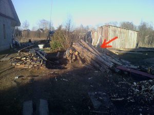 Глава Вышневолоцкого района стоит за полузаконными вырубками леса?