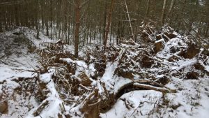Экологический коллапс в Медном: новые подробности