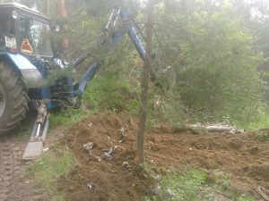 Экологический коллапс в Медном: новые подробности