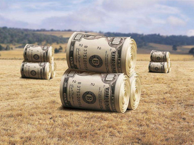 Латифундисты будут биться на выборах в Калининском районе