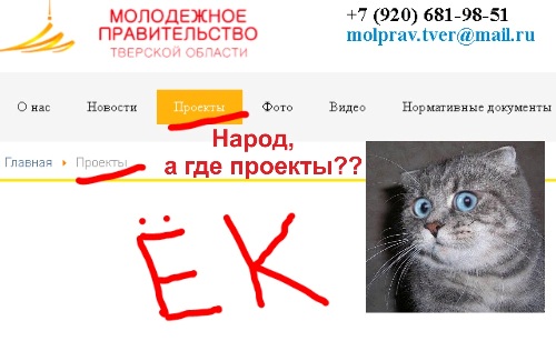 Молодежное правительство дорогая игрушка налогоплательщиков