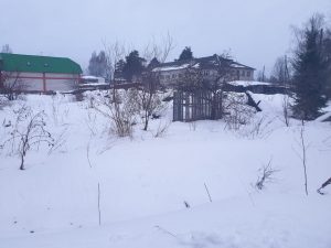 Молчание паскят