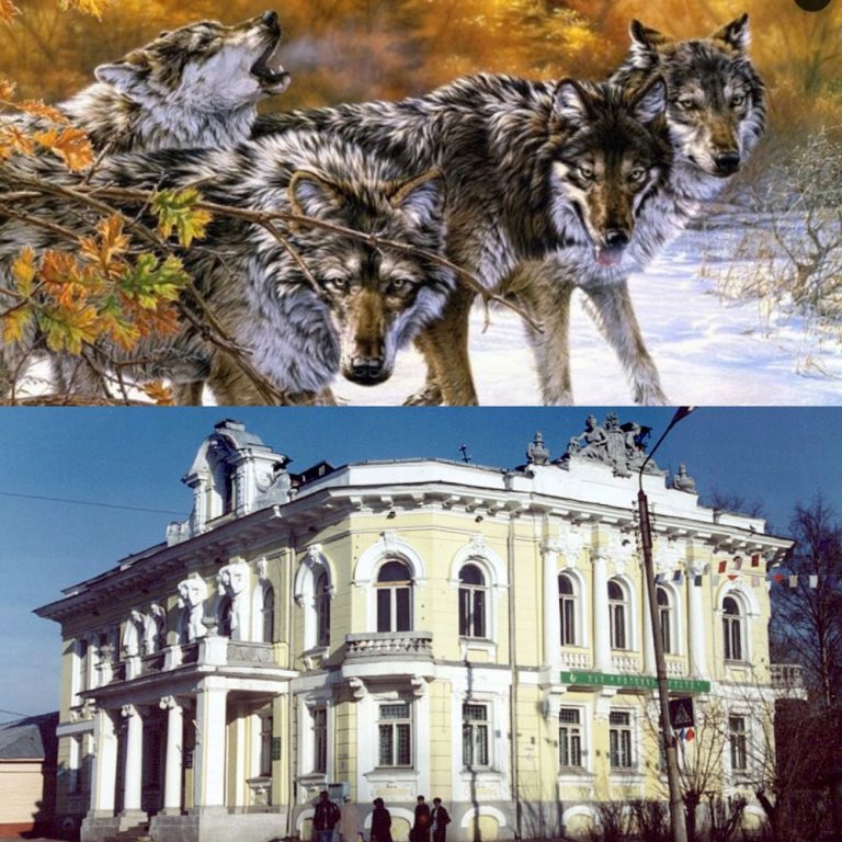 Крепкая хватка бежецких волчиц