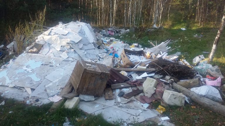 Помойка от зайчонки