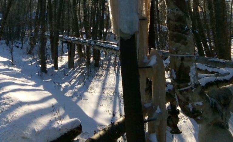 "Морозный СЭЛ"