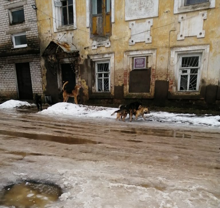 У пациентов шансов мало