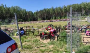 Подлость сделанная ночью