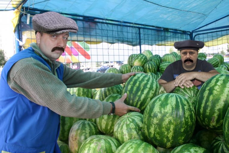 Как железяки с арбузами бьются