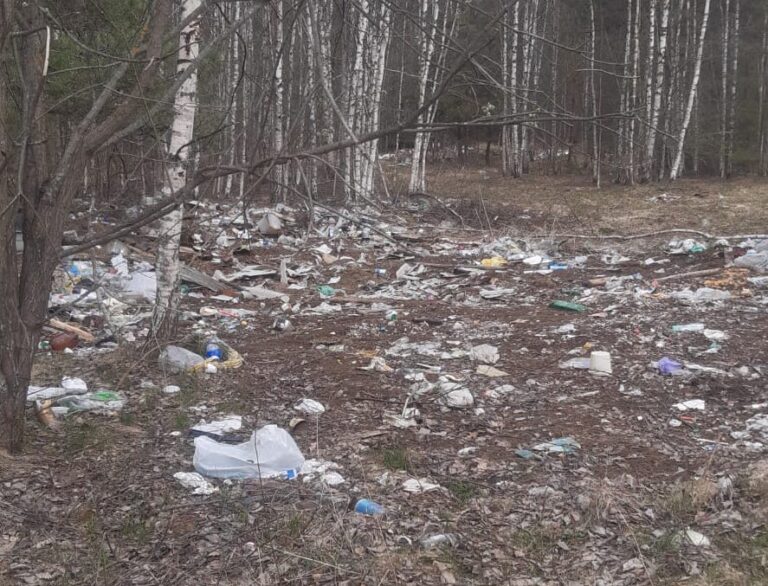 Бездействие длинною в годы
