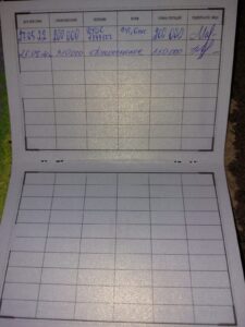Бегут сверкая копытами