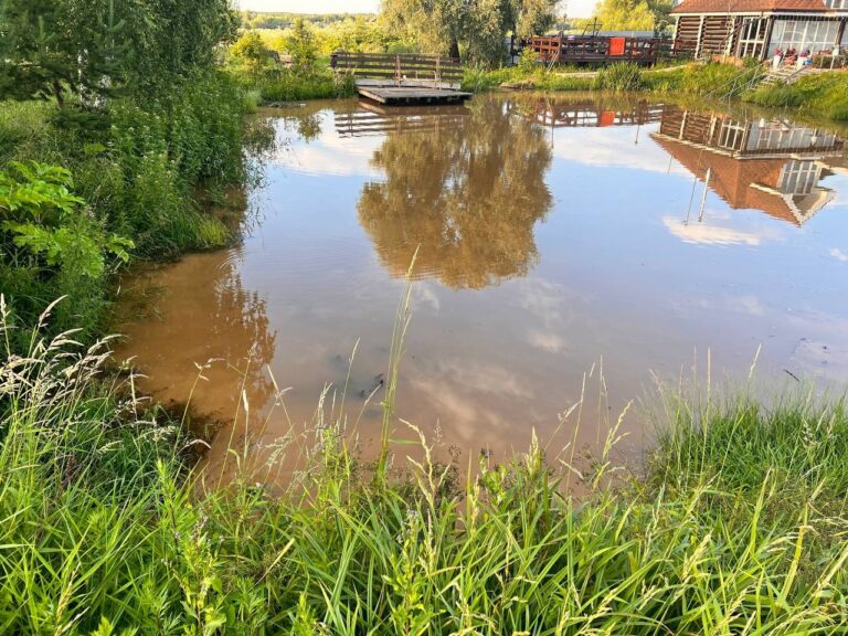 Губернаторские любимчики