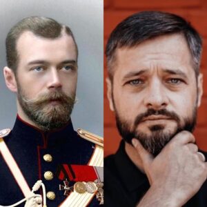 Территория безумия