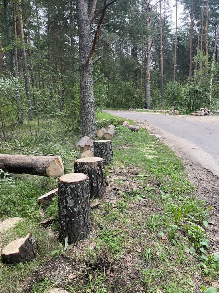 Андреев рубит щепки летят