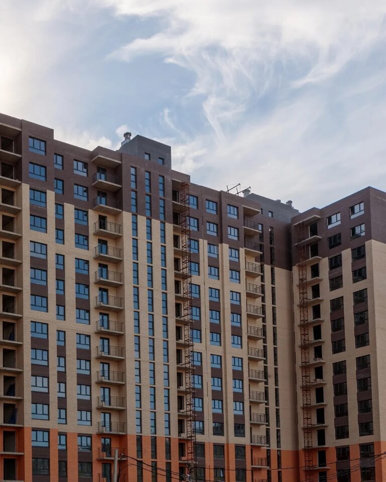 Новая формация